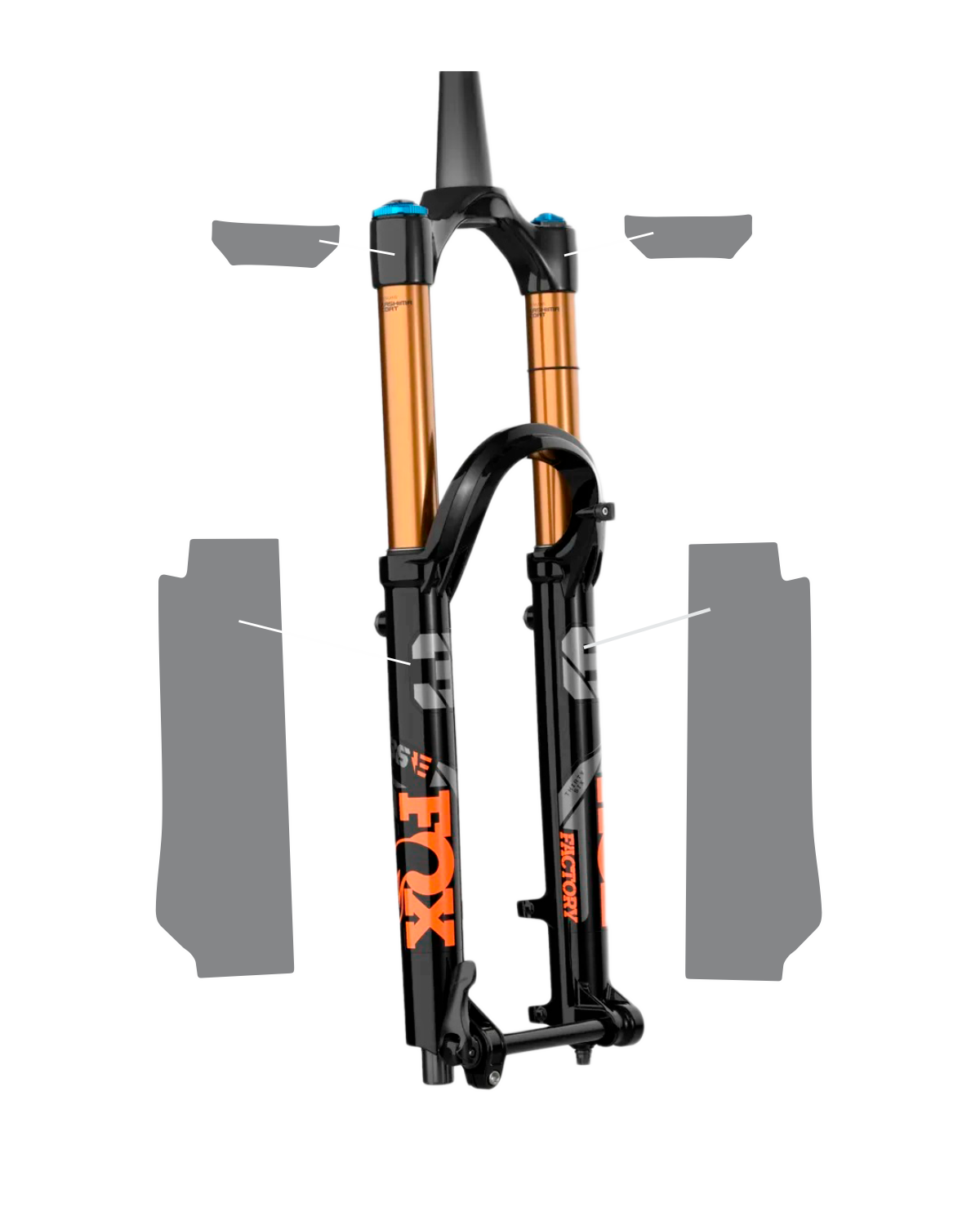 Copia de PPF 36 Mod. 2022